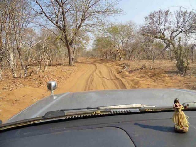 Botswana Südliches Afrika Selbstfahrer Reisen sandige Piste