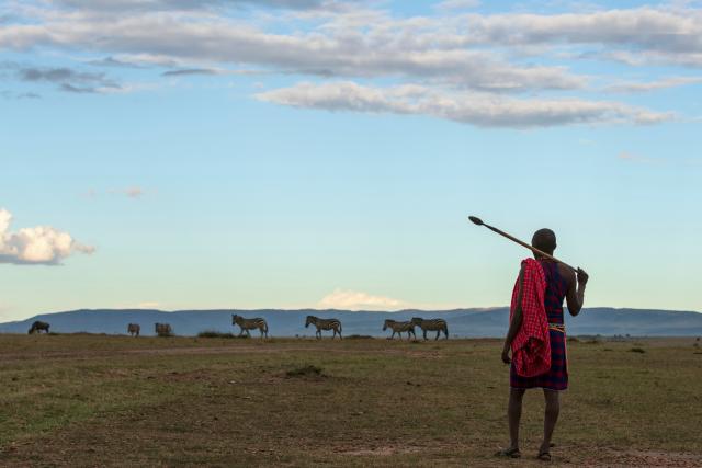 Kenia Massai Sundowner Zebras Viehherde östliches Afrika