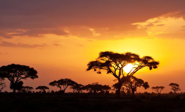 Kenia Sunset Länderkombinationen östliches Afrika Kenya Sonnenuntergang