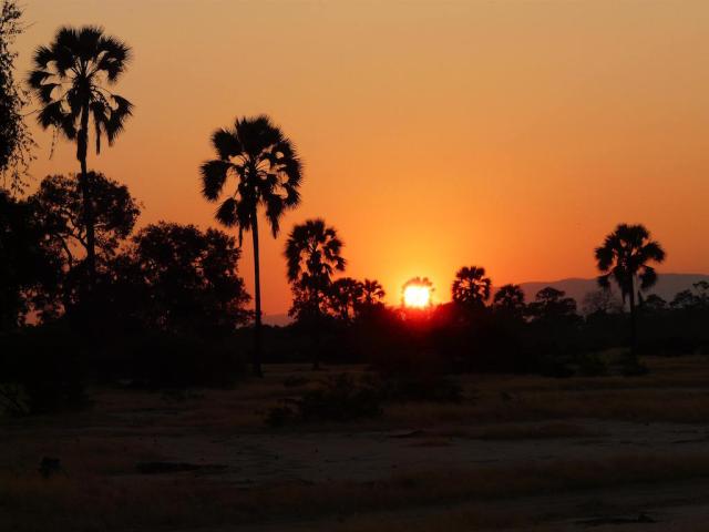 Simbabwe Mana Pools Sundowner Afrika Reiseblog Afrikaspezialisten