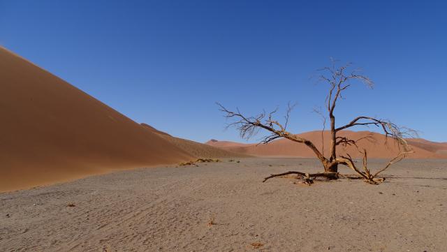 Namibia entdecken Sossusvlei Dünen Afrika 