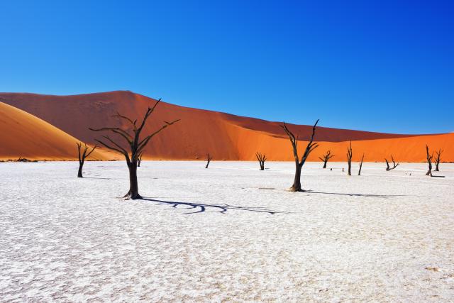 Namibia Reise individuell planen Sossusvlei Dünen