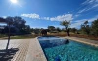Honeyguide Khoka Moya Camp - Pool