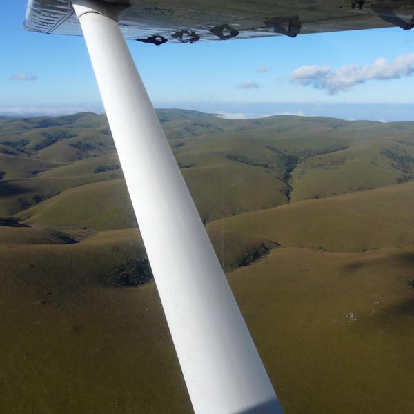 Südliches Afrika Flugsafari Malawi Nyika Plateau