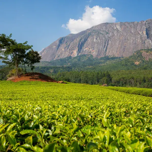Malawi Afrika Berglandschaft