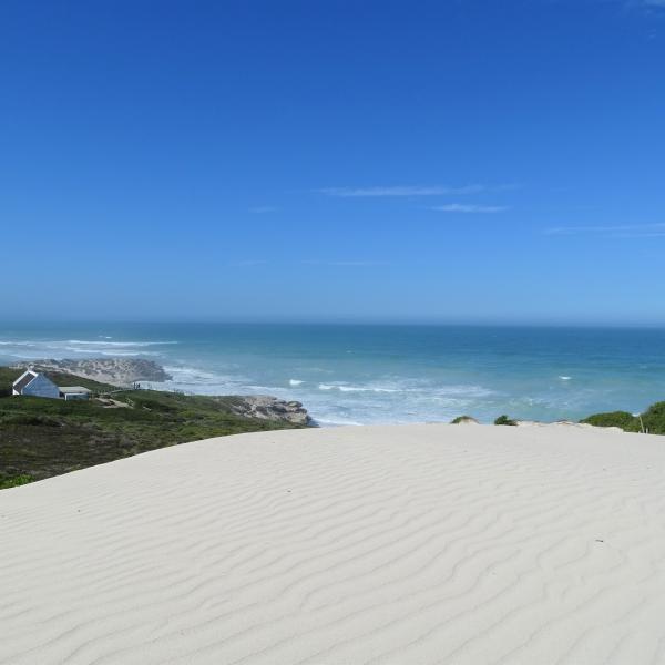 Südafrika Länderkombinationen Dünen Strand Küste Garden Route