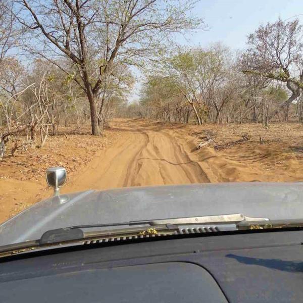 Selbstfahrerreisen Botswana Sand Piste Südliches Afrika