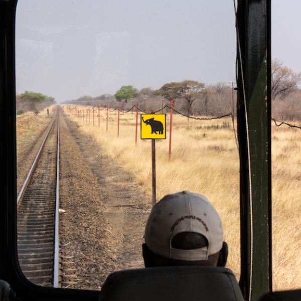 Bahnreise Simbabwe Gleise Elefant Schild Südliches Afrika