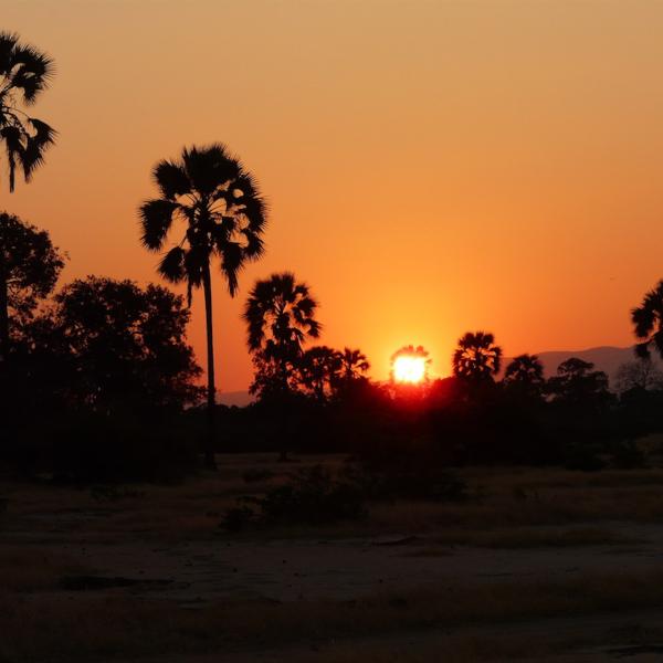 Simbabwe Mana Pools Sunset Sundowner Flugsafaris