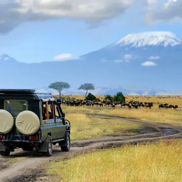 Kenia geführte Rundreisen östliches Afrika Safari Pirschfahrt