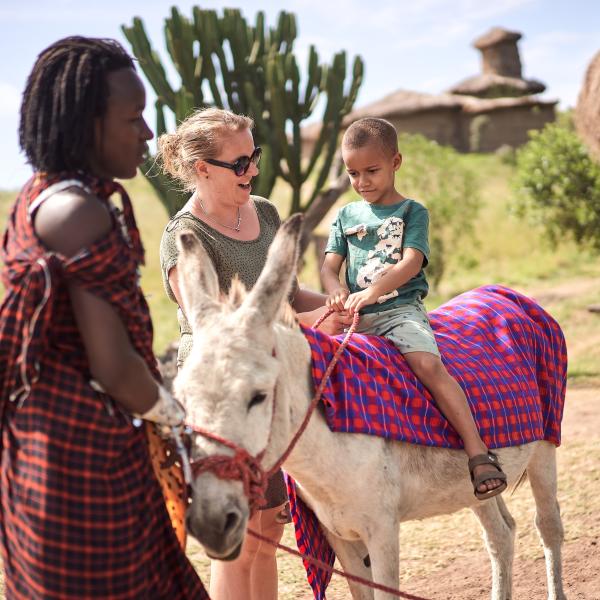 Original Maasai Lodge - Esel