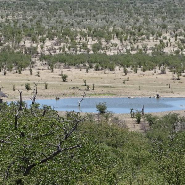 Safarihoek Lodge - Ausblick