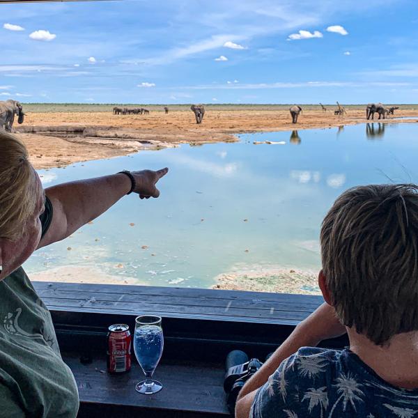 Etosha King Nehale - Wasserloch mit Elefanten