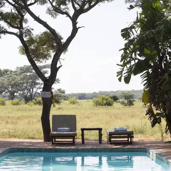Honeyguide Ranger Camp - 4* Safari Camp Waterberg Region