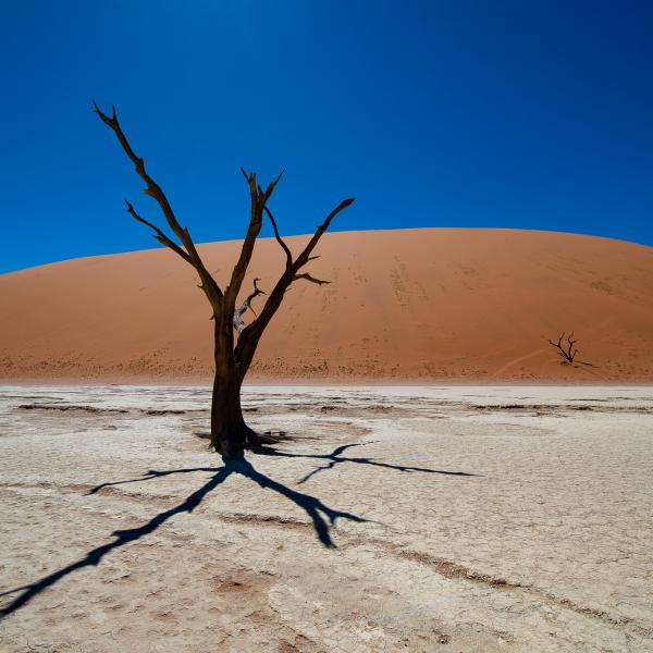 Sossusvlei Namibia Sunway