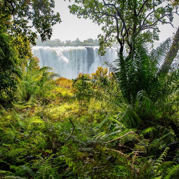 Victoria Falls Simbabwe Sunway
