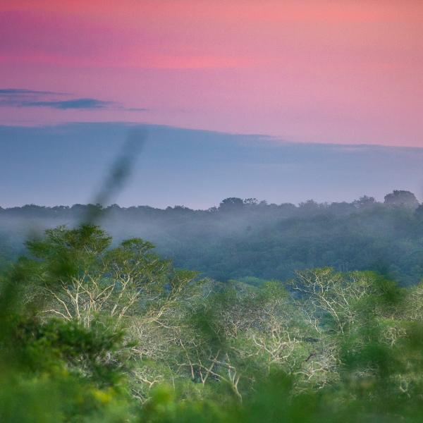 Zululand Sonnenaufgang