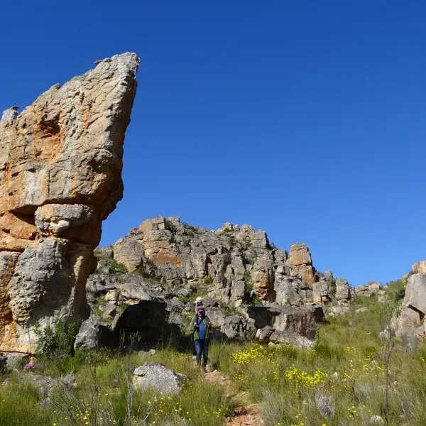 Cederberge Südafrika Familienreise mit Kindern Wandern
