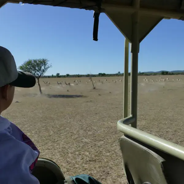 Mit Kindern auf Safari Pirschfahrt Familienreise Namibia