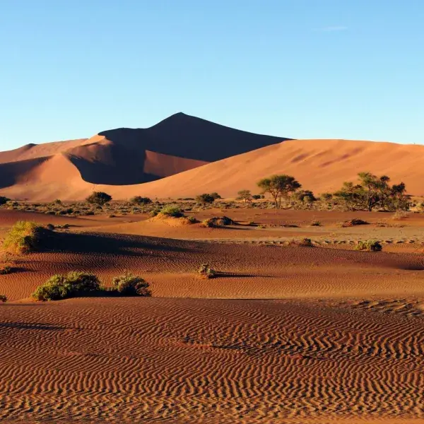 Namibwüste Sanddünen Namibia Experience