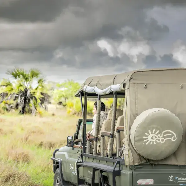 Pirschfahrt im E-Fahrzeug