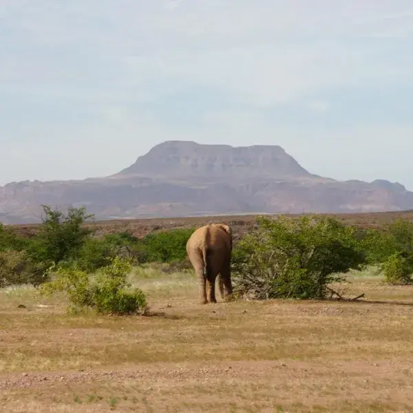 Namibias Landschaften