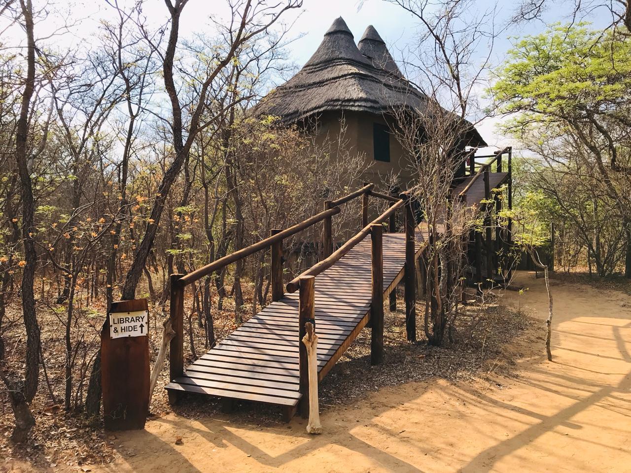 Honeyguide Ranger Camp - 4* Safari Camp Waterberg Region