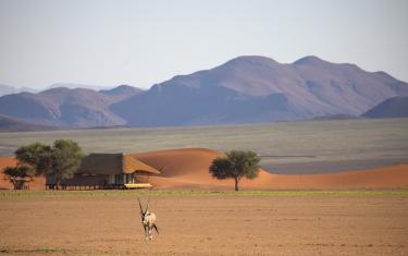 Kwessi Dunes Lodge - Oryx