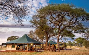 Honeyguide Tarangire Camp