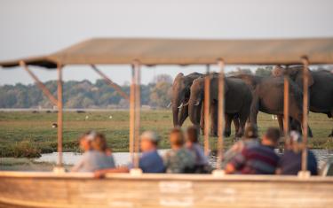 Sunway Elephant Track Classic - Chobe Boot