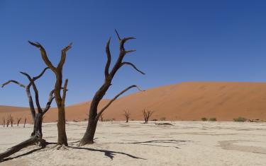 Deadvlei im Namib Naukluft Nationalaprk
